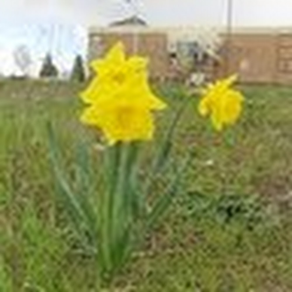 Meet your Posher, Chloe